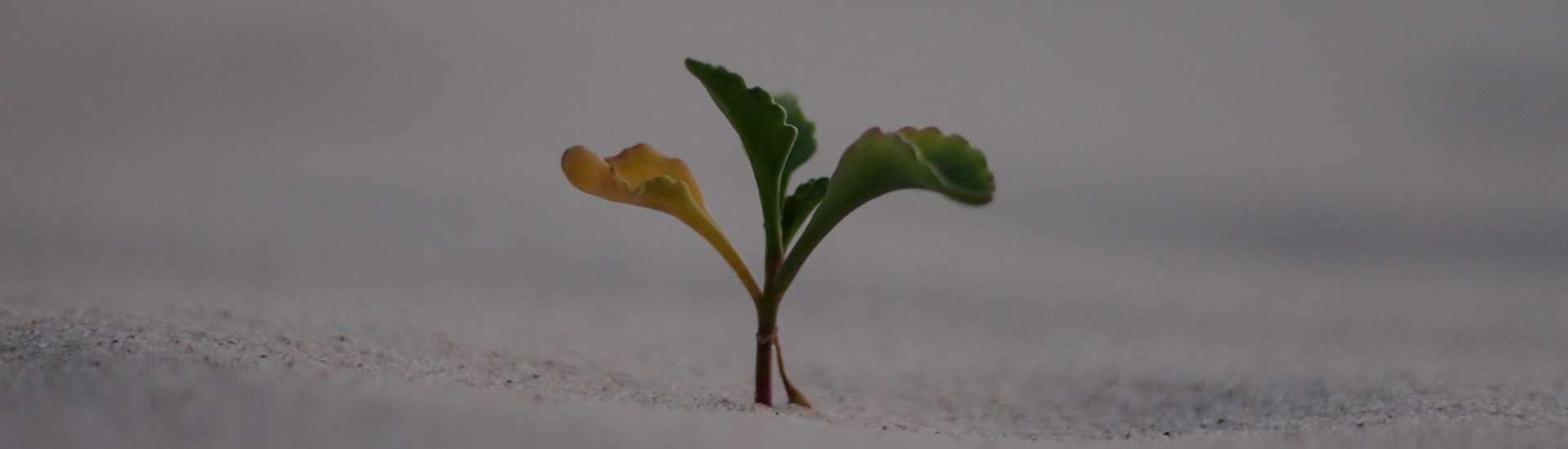 홈페이지 제작 상담을 안내하는 하단 배너 배경 이미지