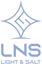 LNS 포트폴리오 로고 이미지